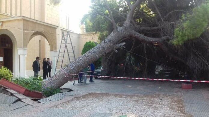 εικόνα άρθρου: Χωρίς ανέμους ξεριζώθηκε μεγάλο δέντρο στο προαύλιο του Ι.Ν Αποστόλου Παύλου (εικόνες)